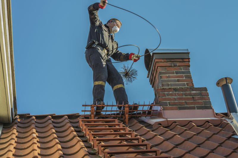 Chimney Bird Removal