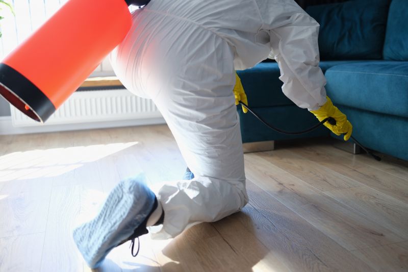 Rat Fumigation Service in Fort Collins, CO