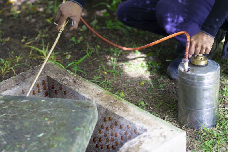 Spider Fumigation Service in Fredericksburg, VA