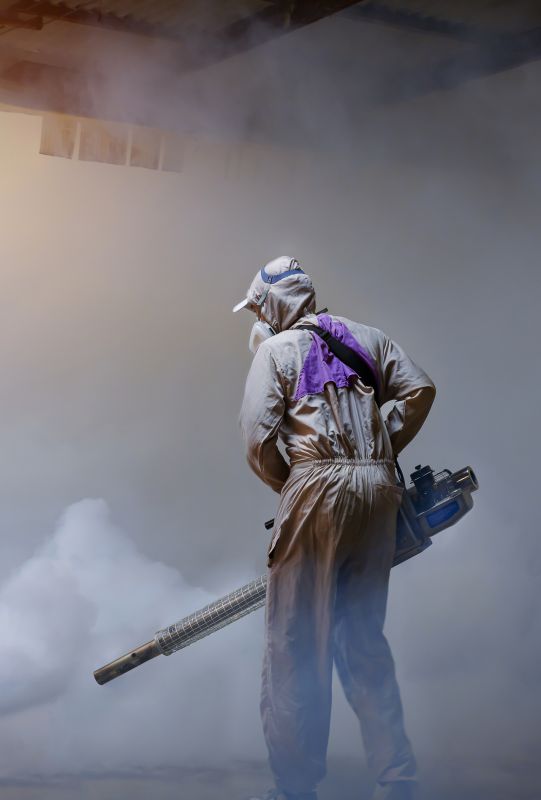 Spider Fumigation Service in Fredericksburg, VA