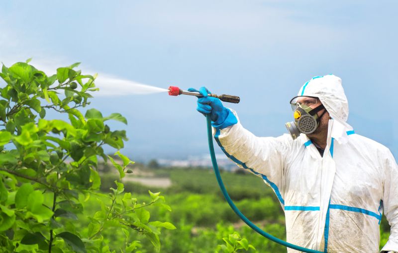 Spider Fumigation Service in Fayetteville, NC