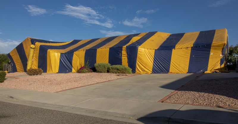 Termite Tenting in Bellingham, WA