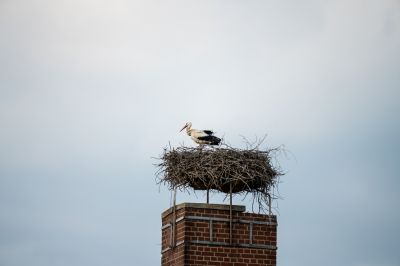 Make Sure the Chimney is Safe for Use